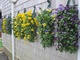 Wall planters with flowers